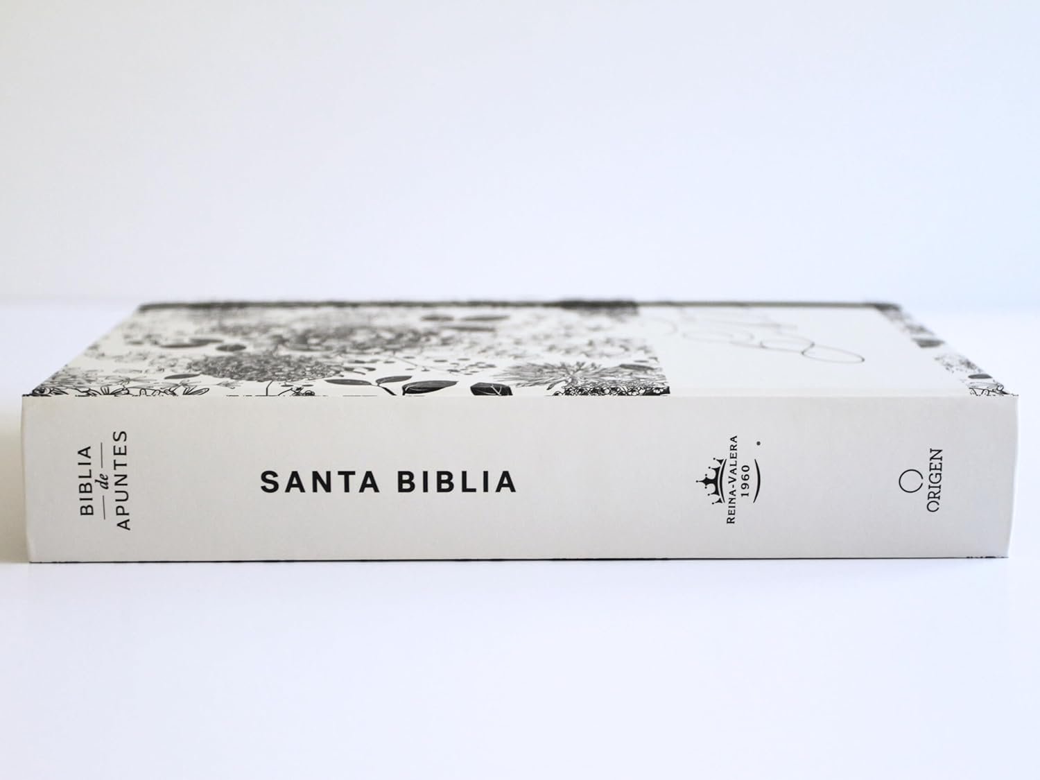 Biblia de Apuntes RVR 1960 Tapa dura, Blanco y negro con flores, Edición cantos pintados - Imagen 4
