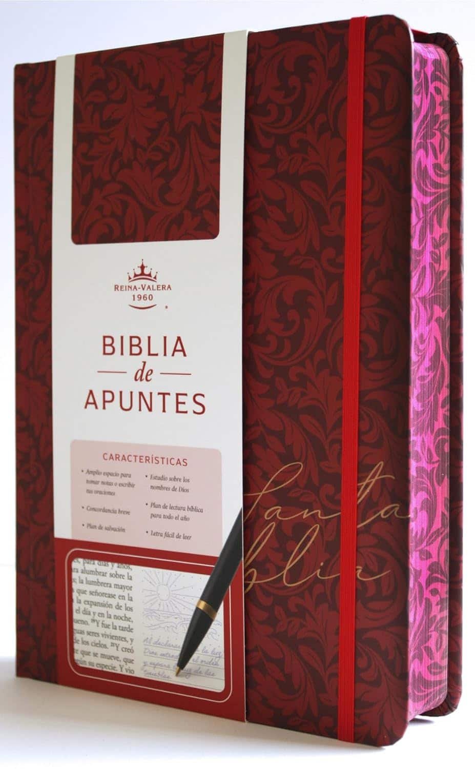 Biblia de Apuntes RVR 1960 Tapa dura, Vino tinto, cantos pintados