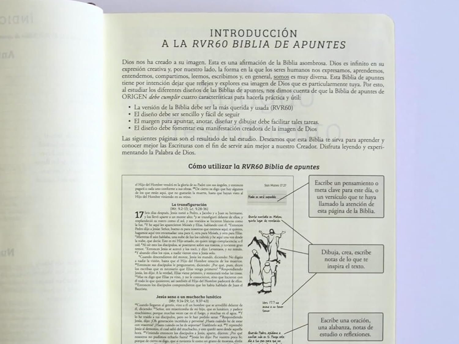 Biblia de Apuntes RVR 1960 Tapa dura, Vino tinto, cantos pintados - Imagen 10