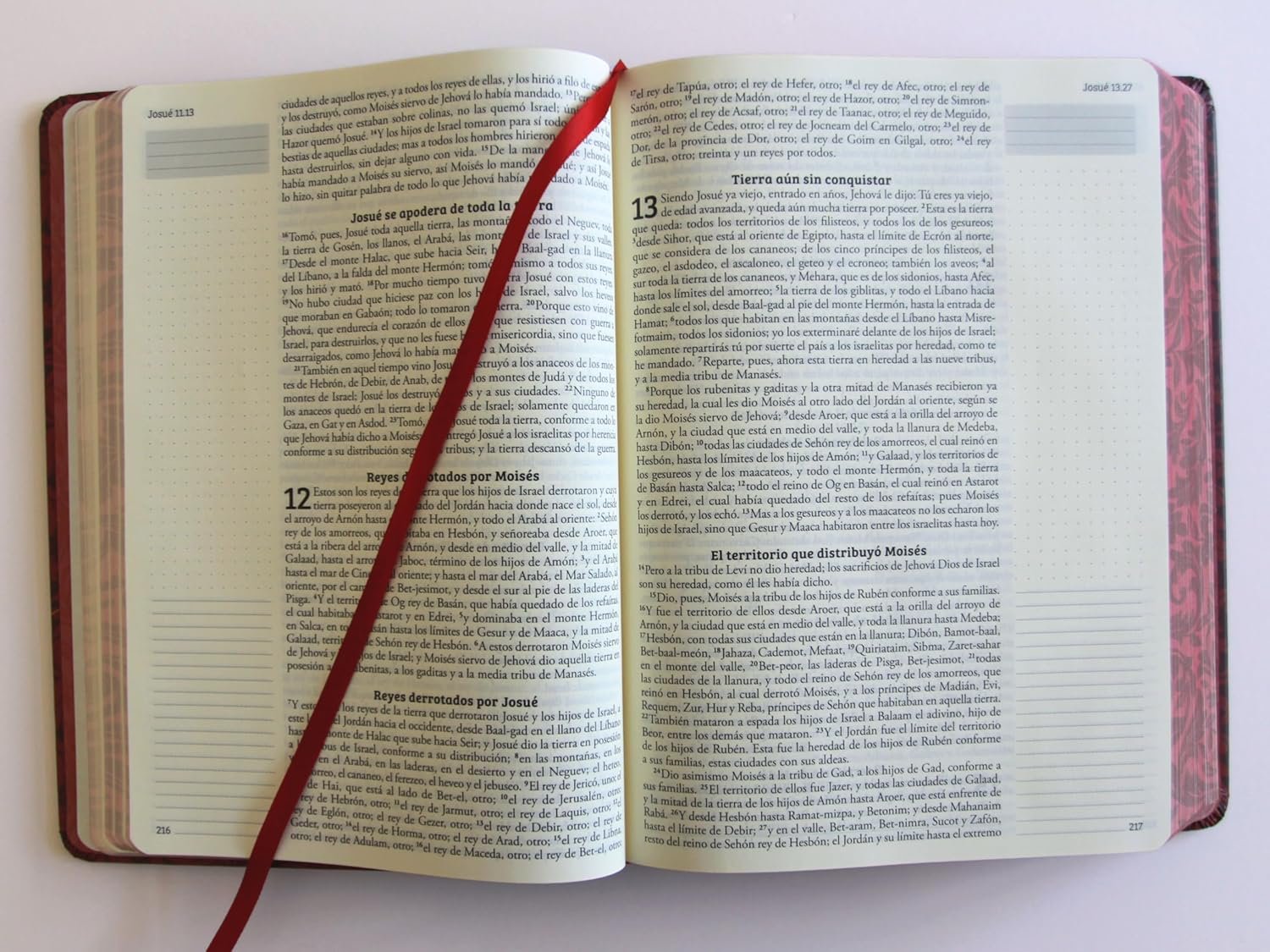 Biblia de Apuntes RVR 1960 Tapa dura, Vino tinto, cantos pintados - Imagen 8