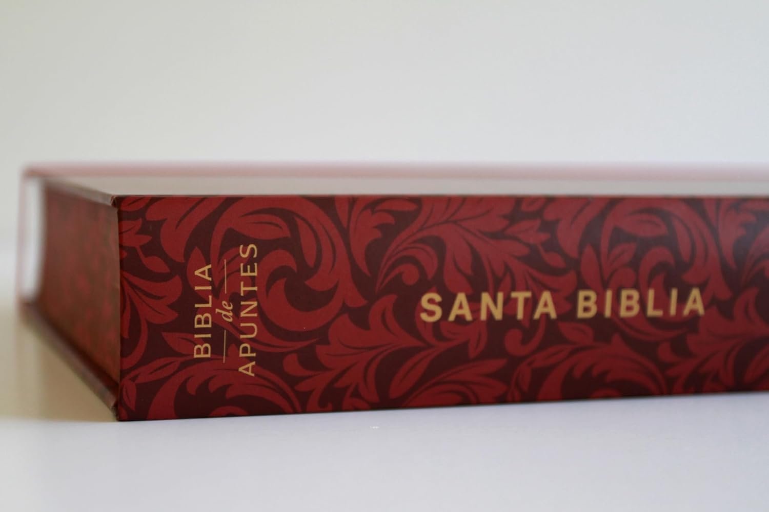 Biblia de Apuntes RVR 1960 Tapa dura, Vino tinto, cantos pintados - Imagen 5