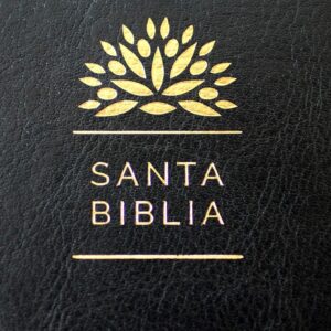 Biblia Reina Valera 1960 letra grande. Símil piel negra, cremallera, tamaño manual