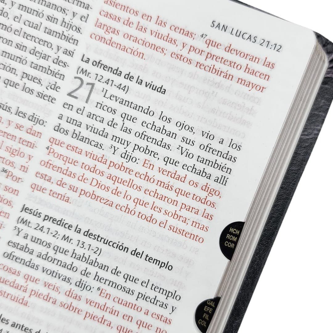 Biblia Reina Valera 1960 Letra Grande. Biblia León Símil Piel Índice - Imagen 6