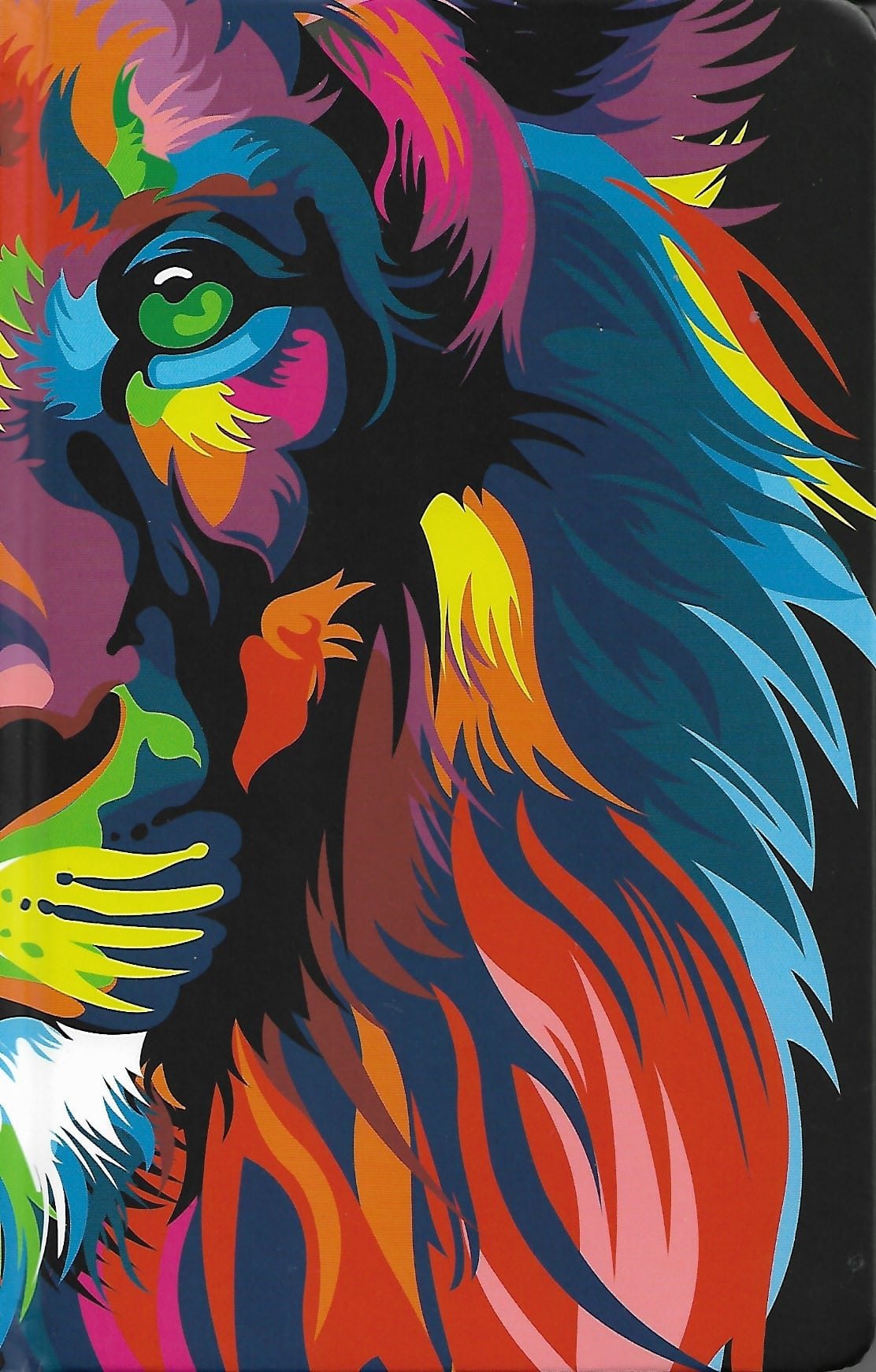 Biblia Rv 1960 Letra Grande Leon Arcoiris Tamaño Manual Tapa Dura