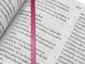BIBLIA LETRA SUPERGIGANTE 1909 - Imagen 3