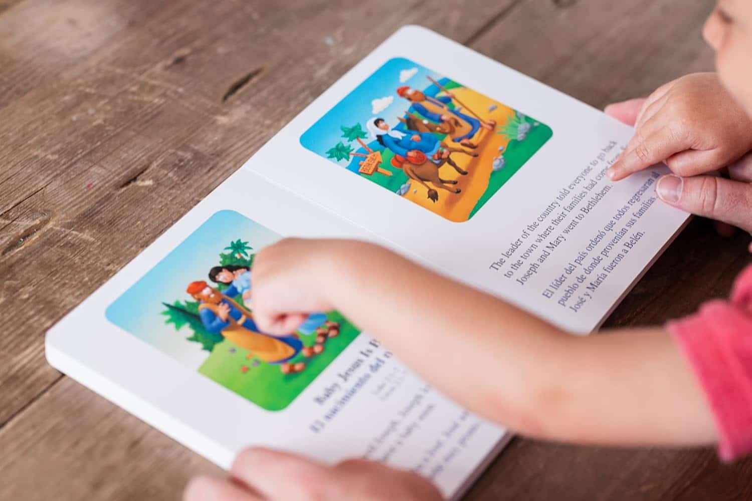 The Beginner’s Bible for Little Ones (Bilingual) / La Biblia para principiantes para pequeñitos - Imagen 3