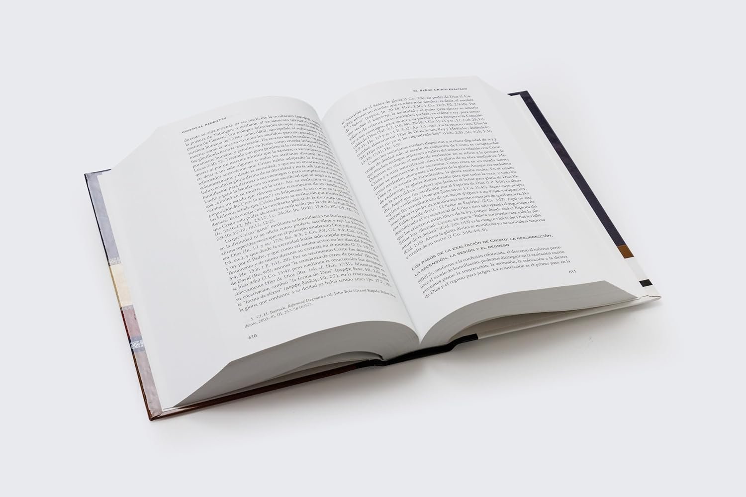 Dogmática reformada - Herman Bavinck - Imagen 2