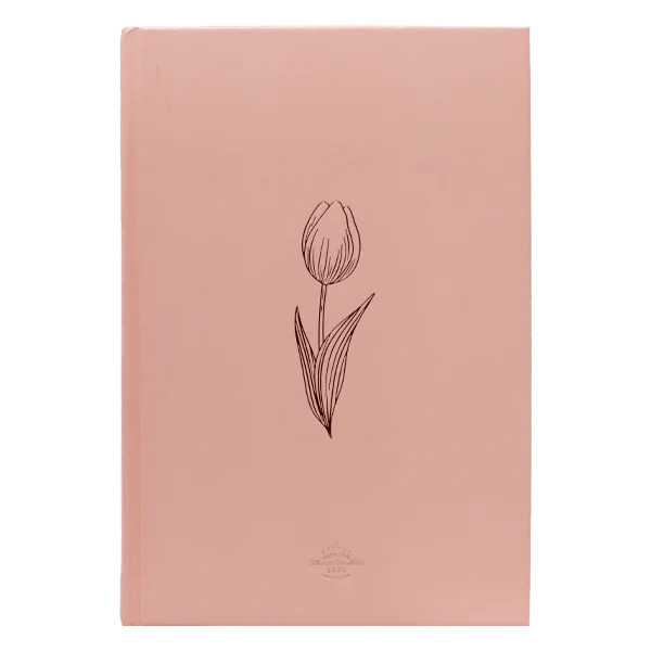 Biblia Reina Valera 1960 letra grande tapa dura minimalista rosada - fotografía original del producto
