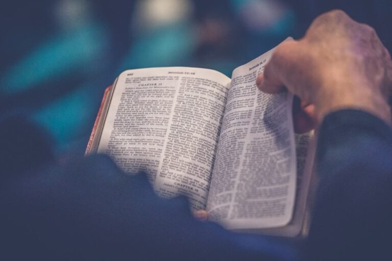 Lectura bíblica personal como contexto para Biblia RVR60 tamaño bolsillo Palabras de Vida Amor Rosa